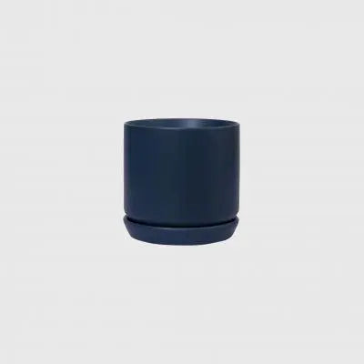 Oslo-Planter-Medium-Potted-1656297183_540x_e6090f71-5296-4458-9f00-bf2bf908cc3e.webp