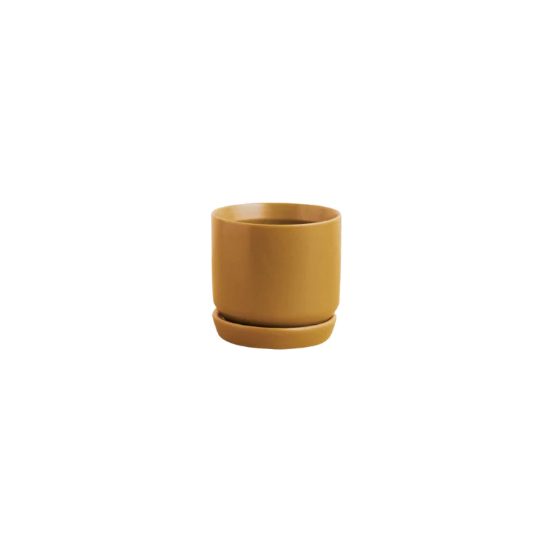 Paddington-Store-Potted-Oslo-Planter-_E2_80_93Mini-Tobacco_1200x_6c9d2ae0-2be0-4e9d-94fb-219868c66077.webp