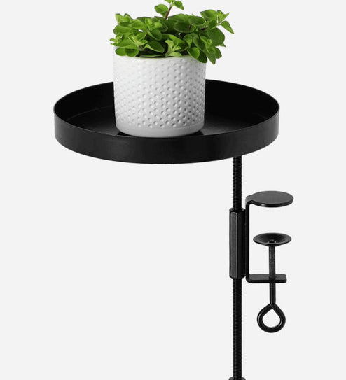 esschert-design-black-windowsill-clamp-small-medium-and-large__69221_0c44e194-d0a0-45f6-8fda-bb5b89a5a321.jpg
