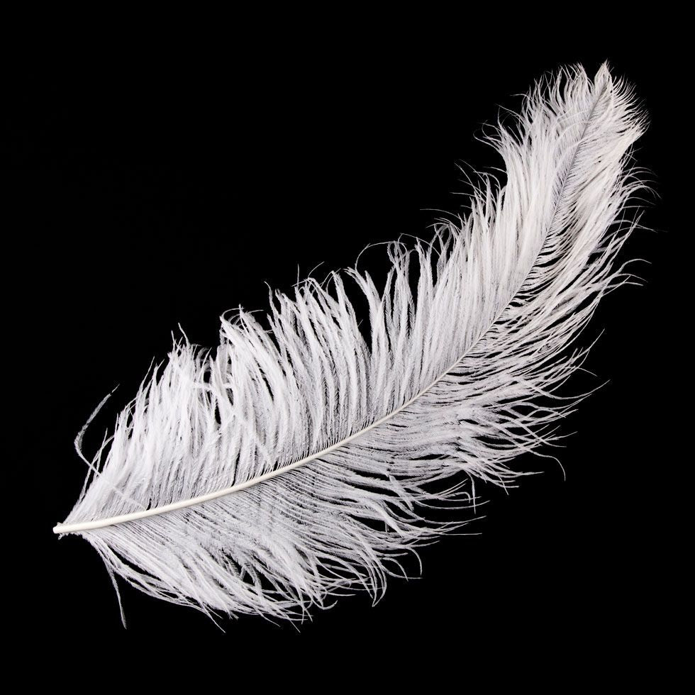 Hawthorne Ostrich Feather - White