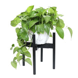 Capulet Adjustable Bamboo Planter Stand - Black